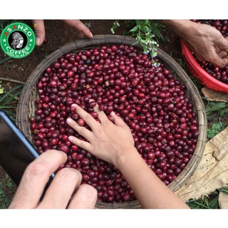 Cà phê nguyên chất Robusta pha phin dùng thử (100g)