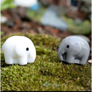 Set 2 chú voi trang trí tiểu cảnh, sen đá, xương rồng
