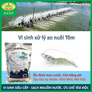 Vi sinh xử lý ao nuôi tôm. Sạch nguồn nước ức chế tảo độc