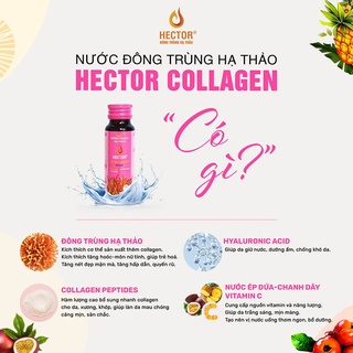 HECTOR COLLAGEN ĐÔNG TRÙNG HẠ THẢO