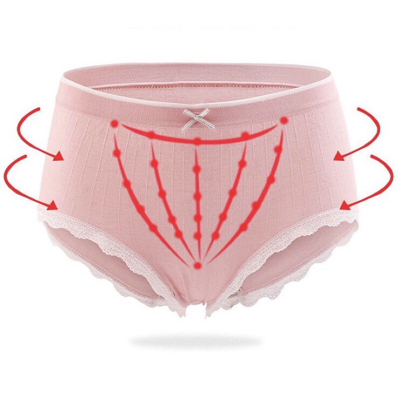 Hộp 5 quần lót cotton thiên nga kháng khuẩn siêu thấm hút định hình mông họa tiết ren co giãn 4 chiều thoáng mát Angola
