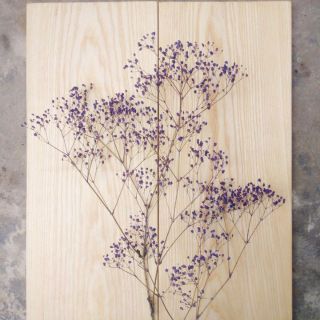 [ Hoa Khô ] Cành hoa baby khô nguyên liệu dùng để cắm lọ trang trí, phụ kiện chụp ảnh, decor handmade