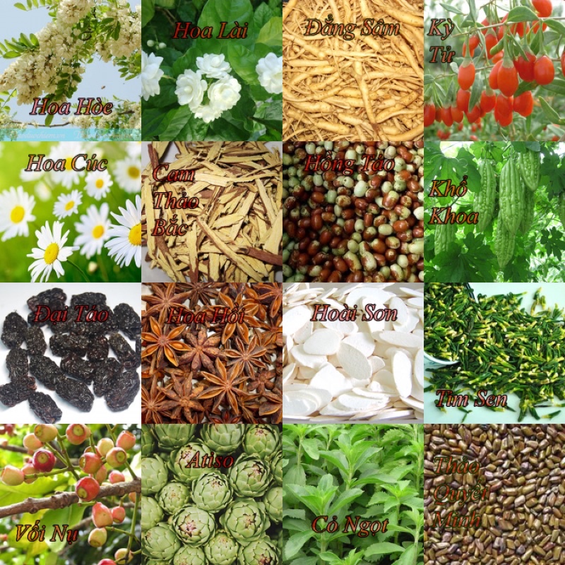 Trà Cung Đình Huế Hoàng Đế G9 gói 500g - thơm ngon bổ dưỡng - Đặc sản Huế - Gói màu đỏ