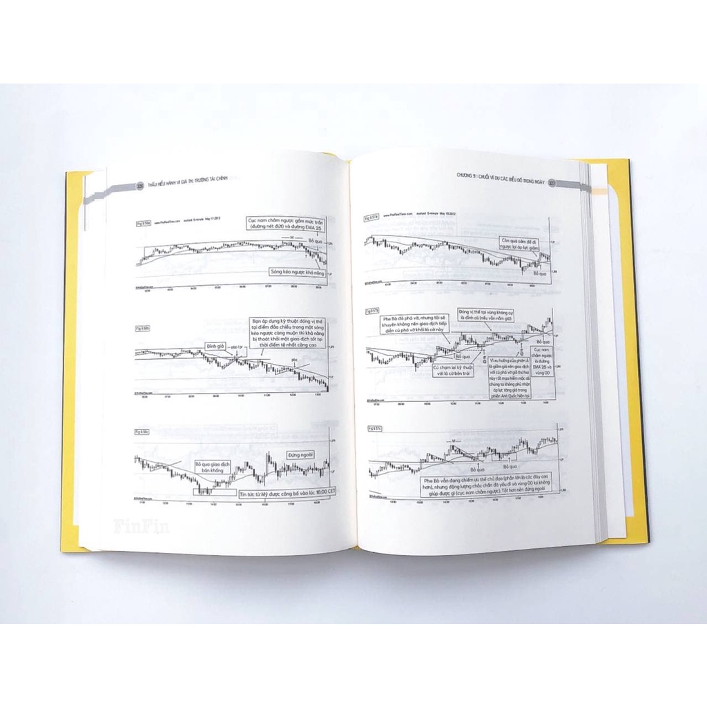 Sách Thấu hiểu Hành vi giá Thị trường Tài chính (Understanding Price Action) | BigBuy360 - bigbuy360.vn