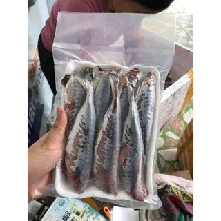 CÁ NỤC 1 NẮNG 1KG.