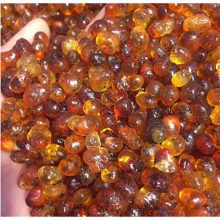 100g nhựa đào viên thượng hạng