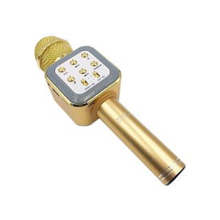 Micro karaoke ws-1818
