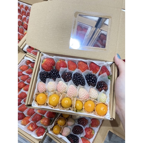 Dâu Nhật ngọt- Phúc Bồn Tử đen- Dâu Bạch Tuyết