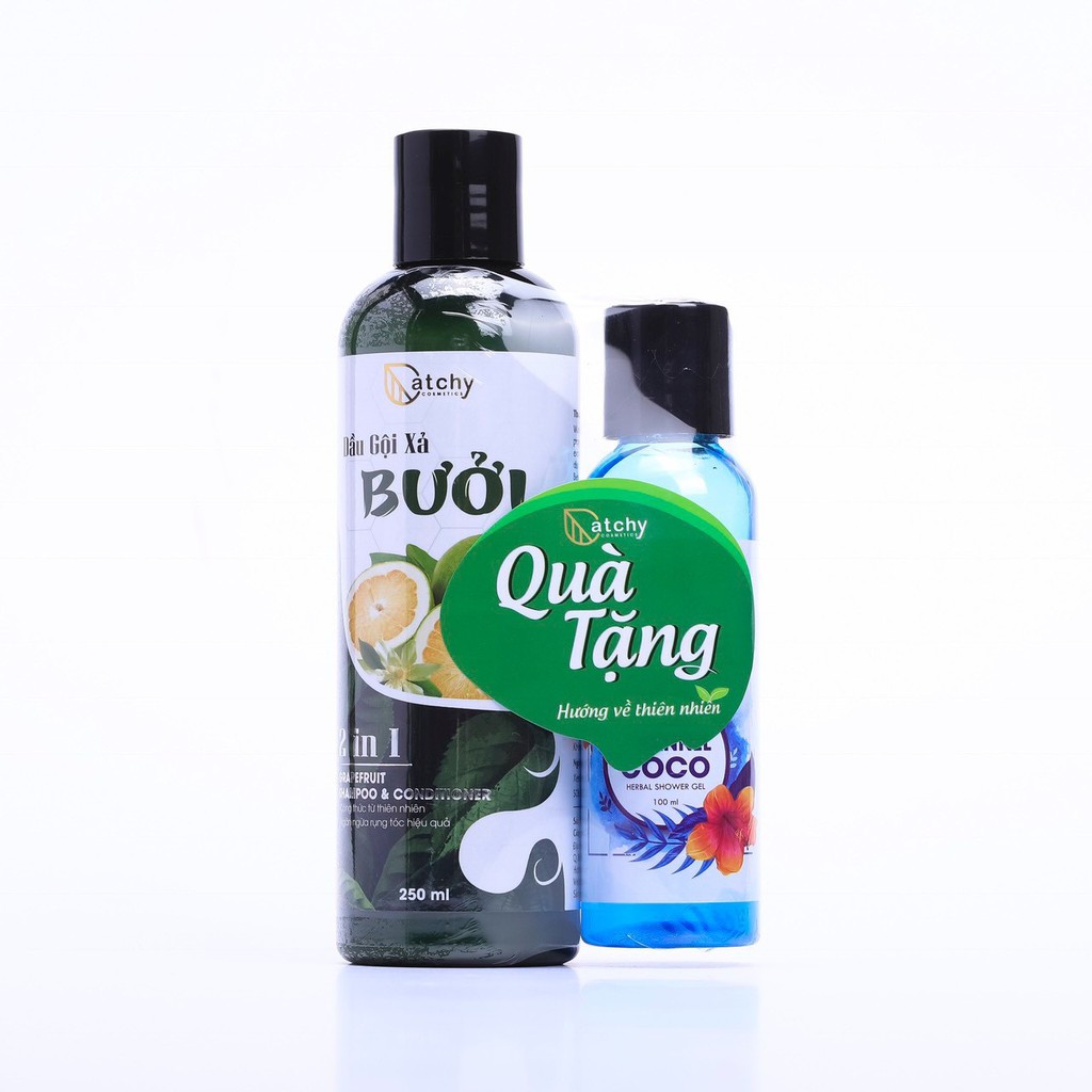 Dầu gội xả BƯỞI CatChy 2in1 thúc đẩy quá trình mọc tóc và chống rụng tóc  | BigBuy360 - bigbuy360.vn