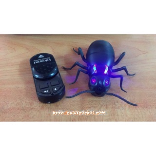 Kiến điều khiển từ xa ngộ nghĩnh