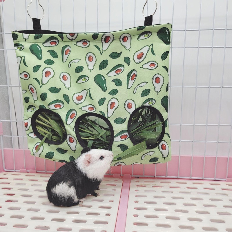 ✿ Dụng Cụ Cho Thỏ, Chuột Hà Lan, Galesaur Hoặc Chinchilla