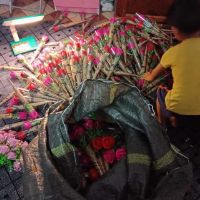 Hoa hồng sáp 1 bông gói kiếng