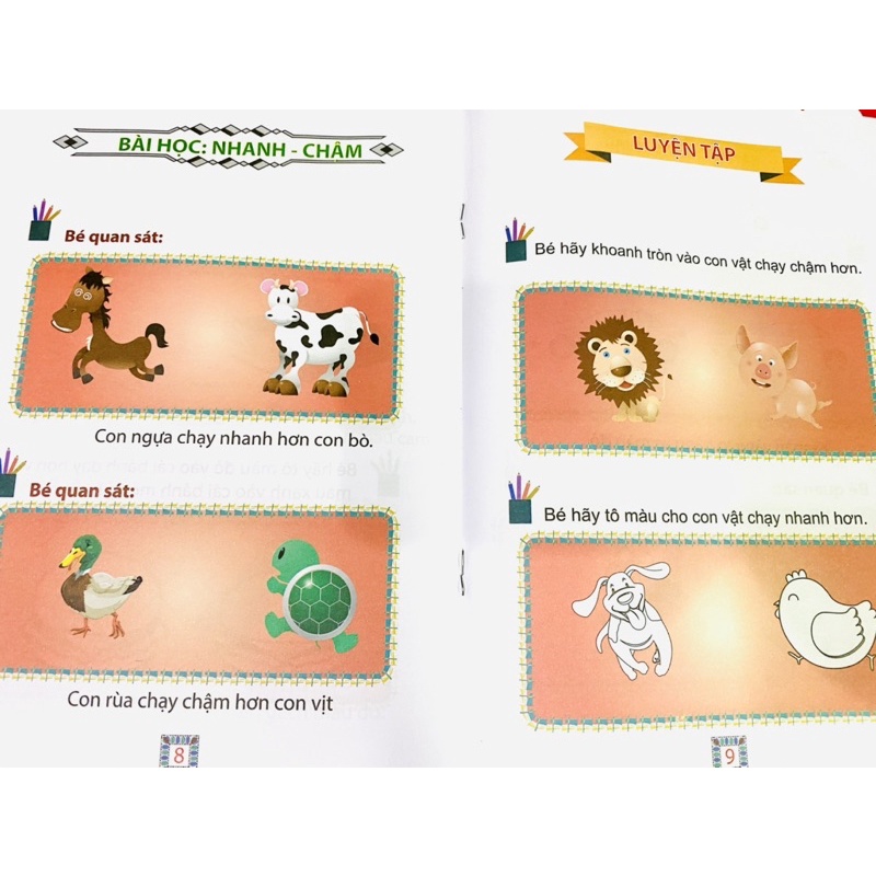 Bộ 8q cho bé 5-6 tuổi