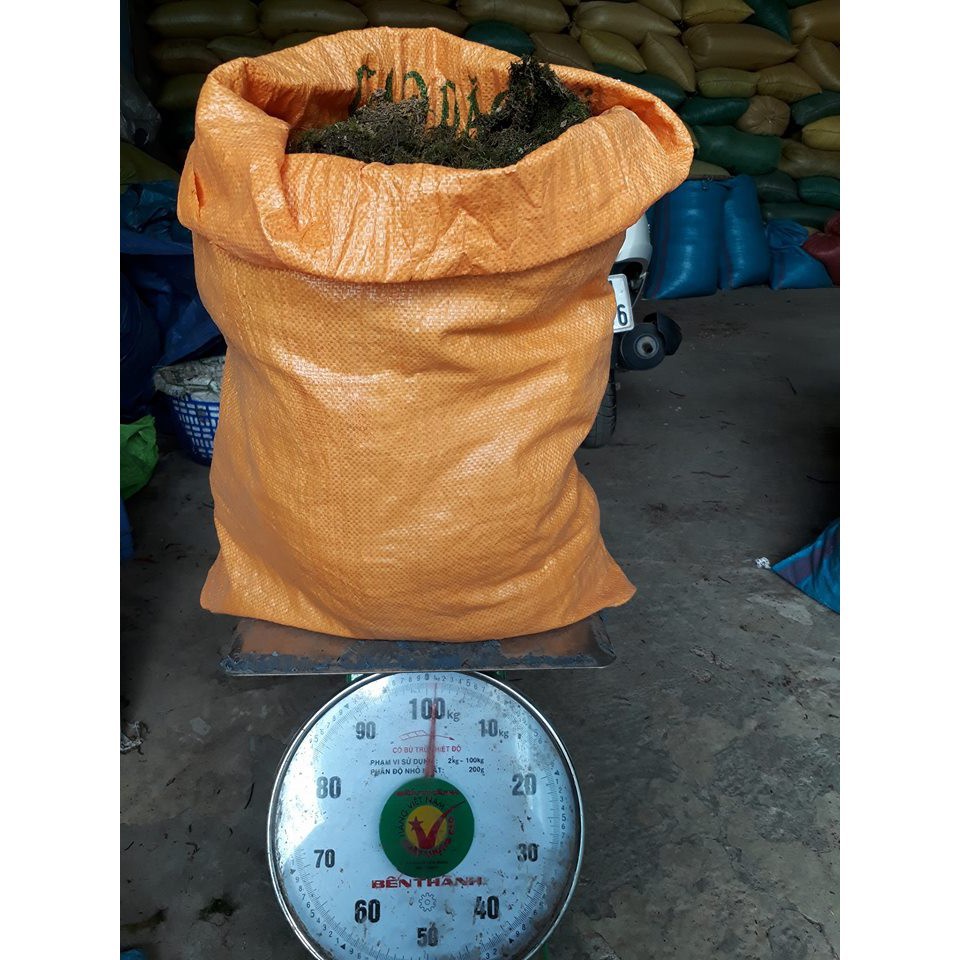 [SIEURE] Rêu rừng tự nhiên phơi khô 1kg hàng đẹp, phân phối chuyên nghiệp.