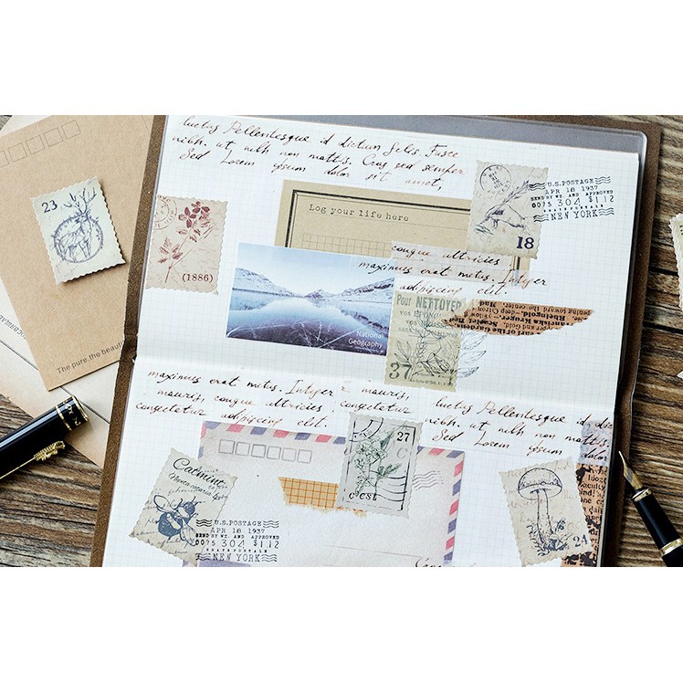 Hộp 46 miếng sticker mẫu tem cây nấm và khu rừng