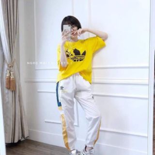 Combo 2 áo phông vàng