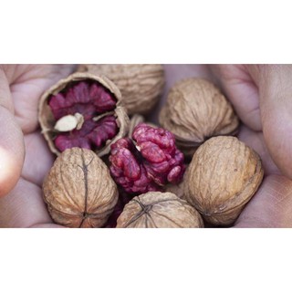 ÓC CHÓ NHÂN ĐỎ - (Đã bóc vỏ) (500gr)