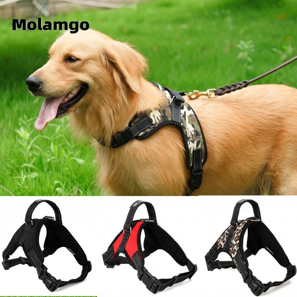Dây Dắt Thú Cưng Đi Dạo Có Đệm Ngực Tiện Dụng không bao gồm dây
