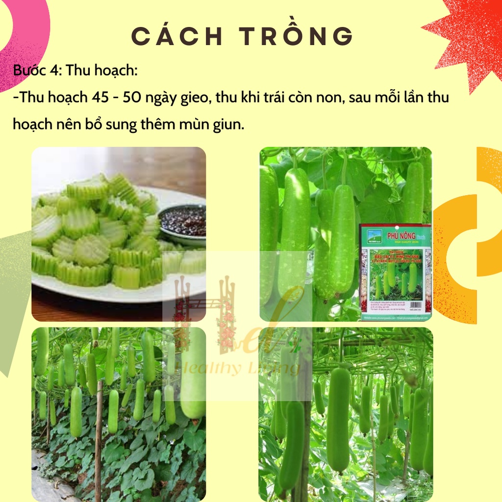 Hạt Giống Bầu Lai King Sai Trái, Dễ Trồng - Trồng Hạt Giống Rau Củ Quả Bằng Đất Sạch, Xơ Dừa, Mùn Dừa, Phân Bón Hữu Cơ