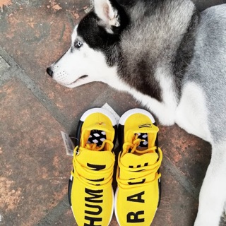 Giày Adidas NMD Human Race