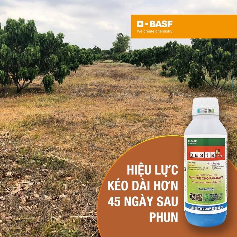 Thuốc trừ cỏ basta 15SL – thuốc trừ cỏ không chọn lọc