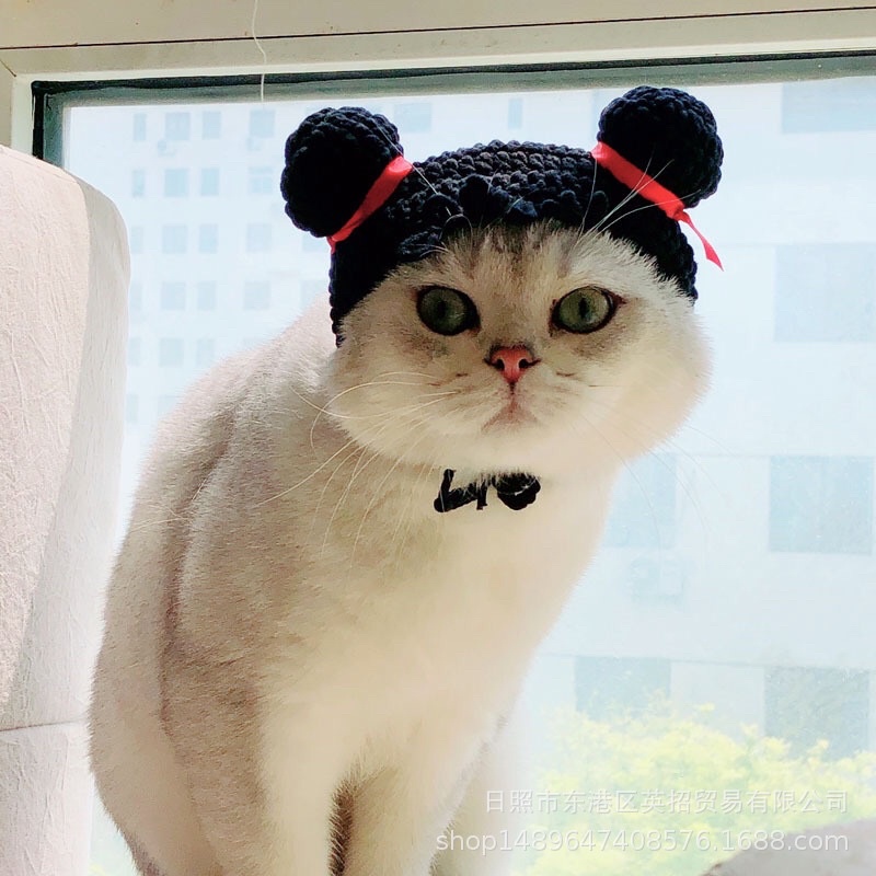 Mũ len Natra cho chó mèo xinh