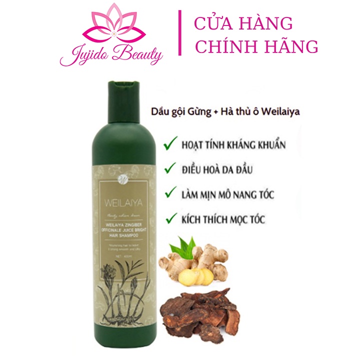 Dầu Gội Weilaiya Chiết Xuất Tinh Chất Gừng Kết Hợp Hà Thủ Ô Cao Cấp 400ml Giúp Tóc Săn, Chắc, Khỏe, Mượt