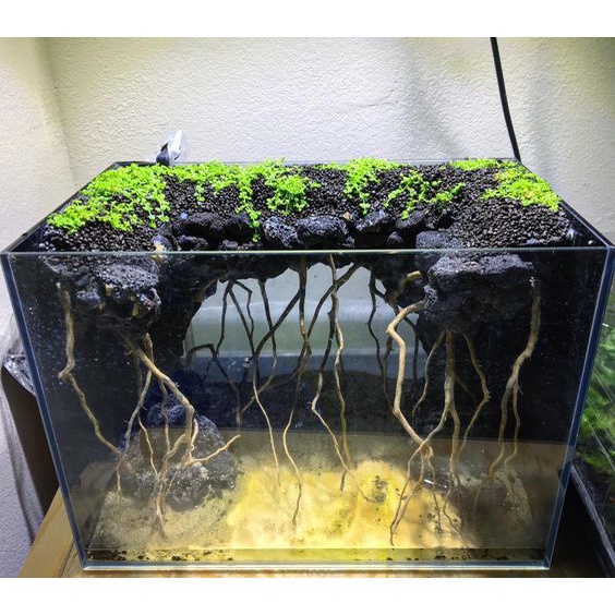 Đá Đen Gia Lai - 1kg Hàng Đẹp Siêu Vân, Nhẹ Xốp - Setup Bể Thuỷ Sinh, Trang Trí Bể Cá Cảnh | Đủ kích thước