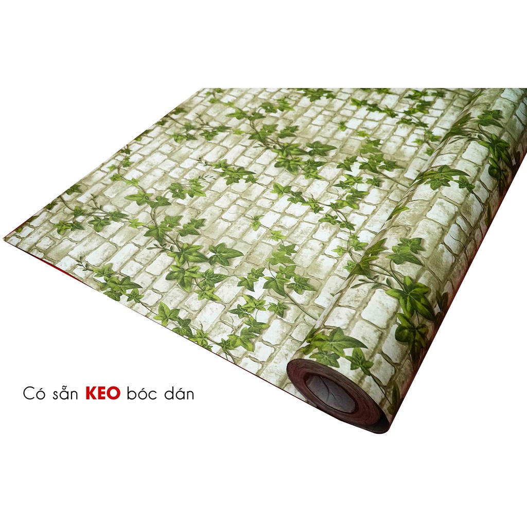 Giấy dán tường decal hoạ tiết dây leo xanh 3D có sẵn keo bóc dán mặt sau khổ 1,2m