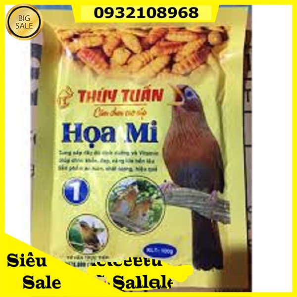 CÁM HỌA MY THÚY TUẤN SỐ 1