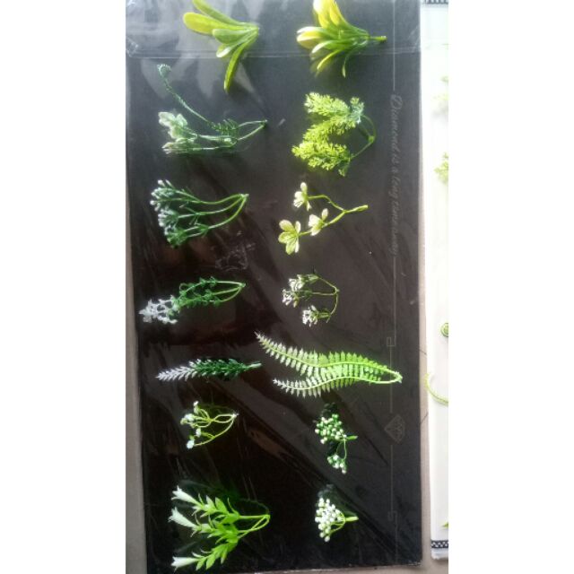 1kg cỏ điểm