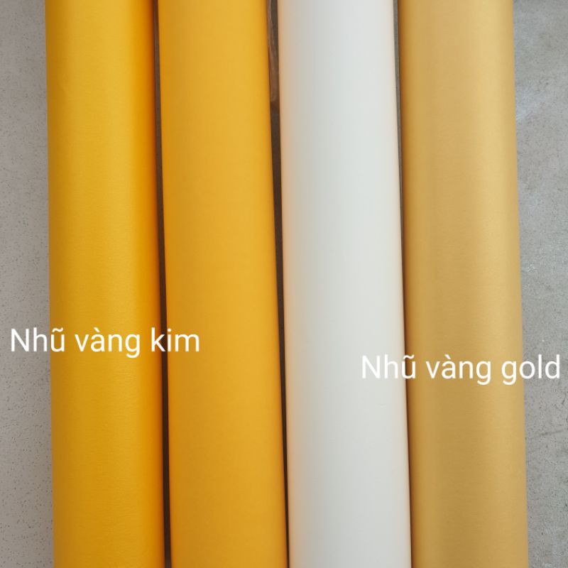 Giấy mỹ thuật nhũ 120gsm