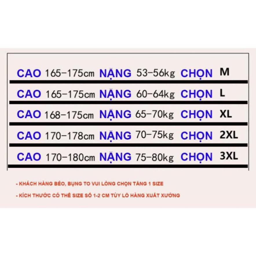 [Siêu rẻ]Combo áo Vest và áo Gile nam lịch lãm phong cách hoàng gia