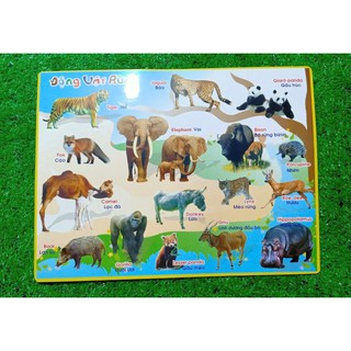 Tranh hình ảnh cho bé