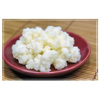 25k - Nấm sữa Kefir Tây Tạng 25k 1 phần