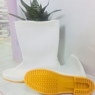 Ủng trắng bảo hộ đi mưa chống trơn cao 30cm