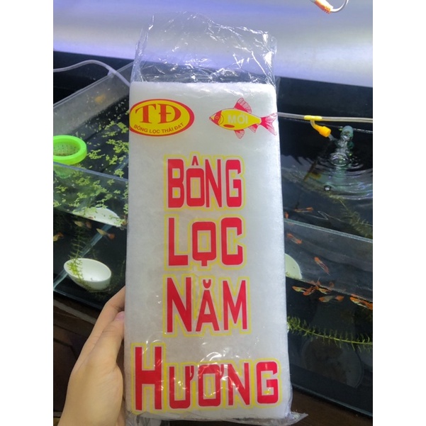 Bông lọc cặn