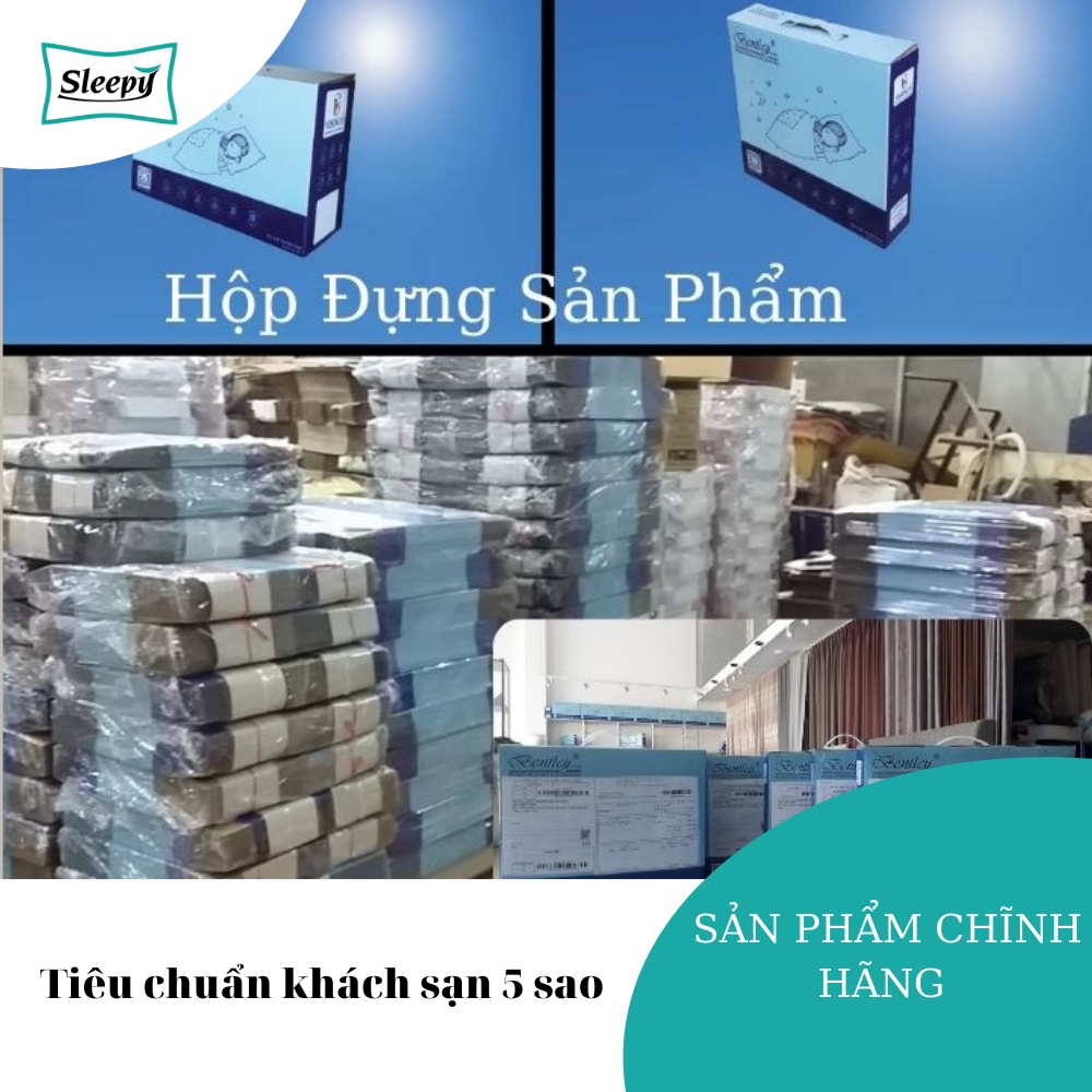 Vỏ Gối Nằm CaoCấp T300 Tiêu Chuẩn Khách Sạn 5 Sao Thương Hiệu SLEEPY - VISINCO | BigBuy360 - bigbuy360.vn