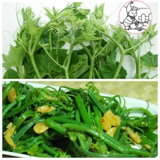 HẠT BÍ NGỌN SIÊU ĐỌT- GÓI 20 GRAM
