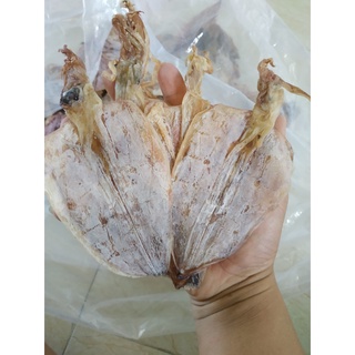 Combo 10 con mực khô + tặng thêm 2 con