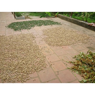 Lạc quê bóc tay loại 1KG