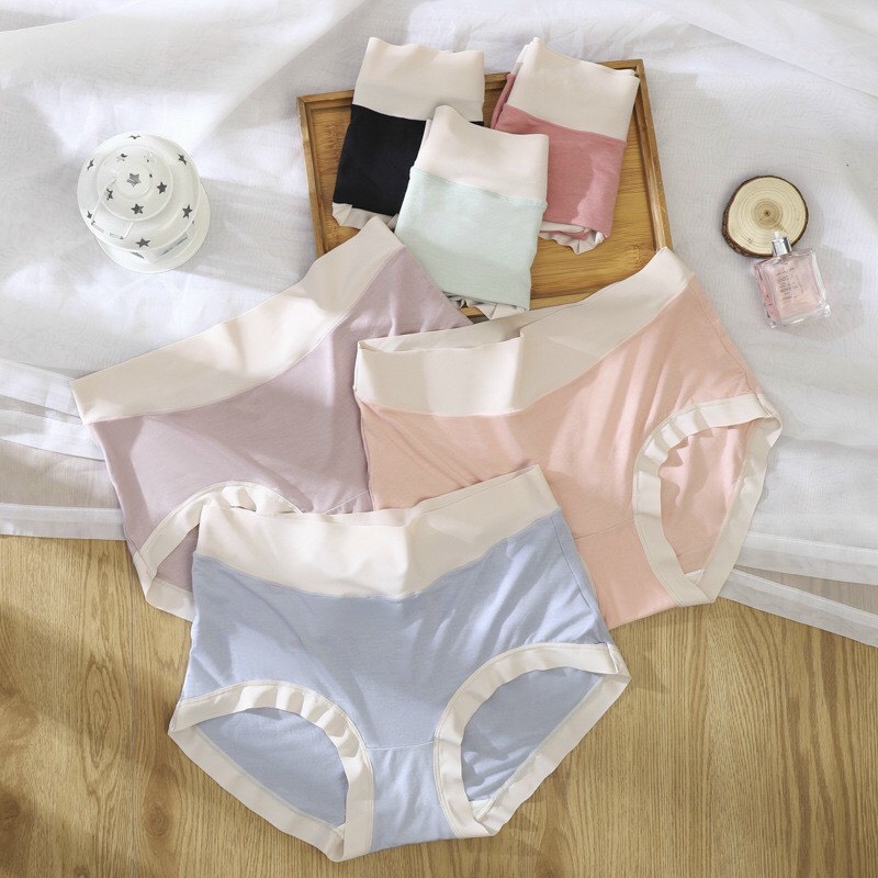 Quần Lót Nữ Cotton Cạp Su Kháng Khuẩn Màu Sắc Trẻ Trung Cao Cấp 798