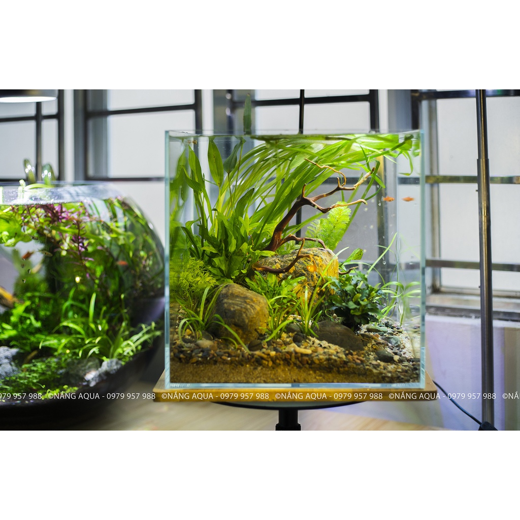 Hàng tuyển chọn_Đá cuội thủy sinh/đá siêu vân/sỏi suối siêu đẹp