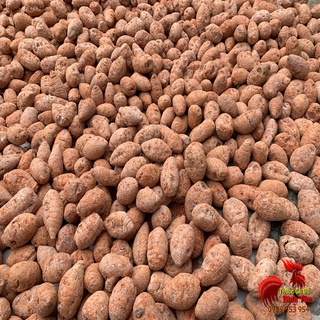 Củ Nghệ Đỏ Cho Gà Đá Cao Cấp [Nguyên Chất 100%] - 500gram