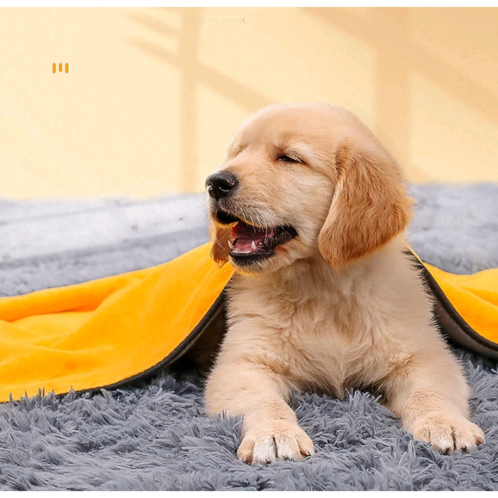 Khăn tắm lau khô lông chó mèo sợi microfiber siêu thấm hút màu vàng xám size 60x30cm
