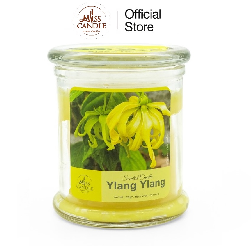 Nến thơm hũ Miss Candle NQM3414 Ylang Ylang 230g (Hương ngọc lan tây)