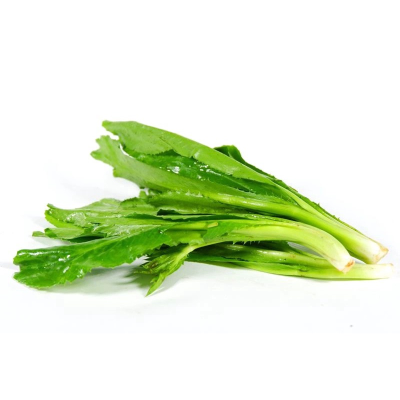 [HCM] Rau nêm, Rau gia vị, Giá sống, Rau thơm các loại NTFood 1kg / 500g / 200g - Nhất Tín Food