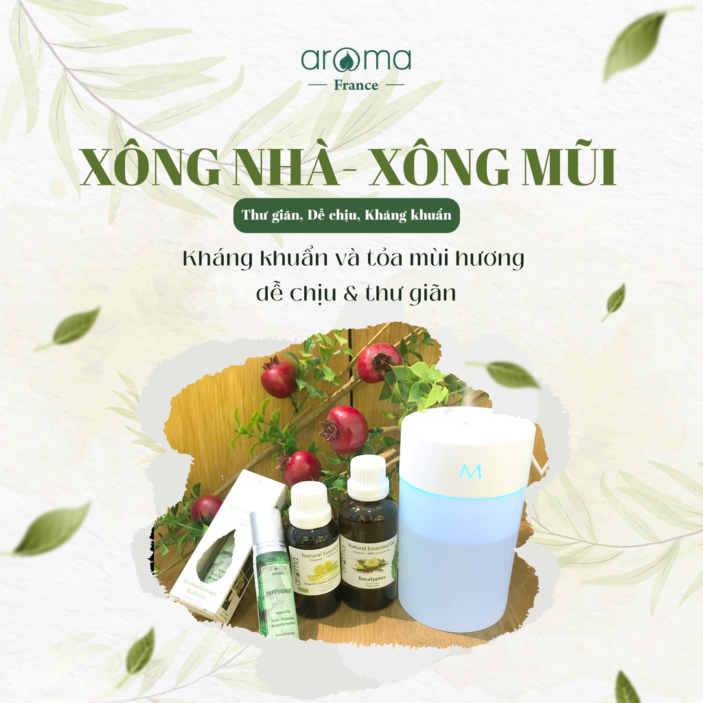 Combo Tinh Dầu Xông Mũi Aroma Chanh Sả Chanh , Khuynh Diệp , Lăn Bạc Hà Giúp Xông Mũi Tạo Sự Dễ Chịu , Kháng Khuẩn