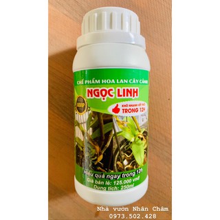 Chế phẩm hoa lan cây cảnh ngọc linh thối nhũn 12h 250ml