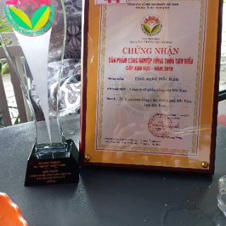 TINH BỘT NGHỆ BẮC CẠN 500G